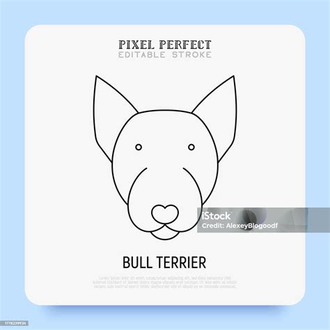 Bull Terrier Head Thin Line Icon Dog Breed Editable Stroke Vector ...