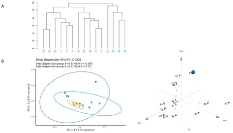 Facial Skin Microbiome: Aging-Related Changes and Exploratory ...