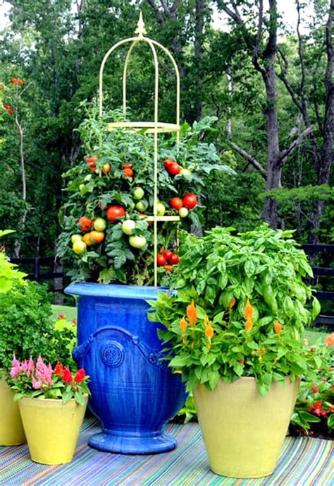 35 Creative Container Vegetable Garden Ideas - A Piece Of Rainbow