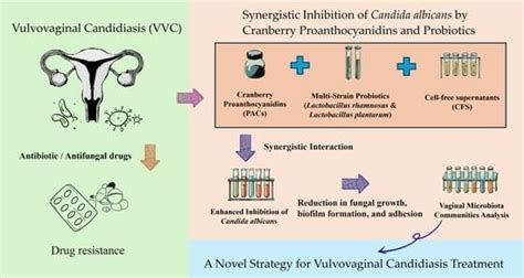 Synergistic Inhibition of Candida albicans by Cranberry ...