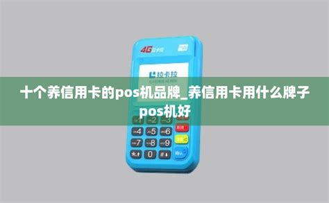 十个养信用卡的pos机品牌_养信用卡用什么牌子pos机好-拉卡拉POS机