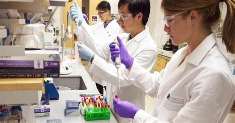 Molecular Engineering Applications 的图像结果