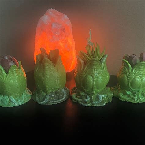 Image result for Alien Egg Planter