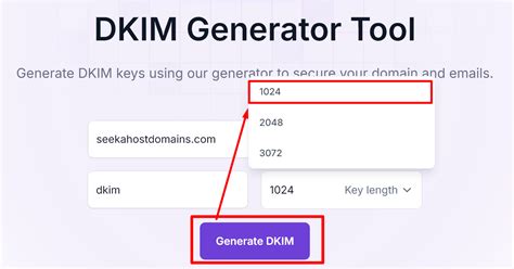 How to Setup DKIM Records for SeekaHost Email in Domain