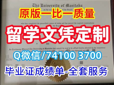 国外学历学位认证书翻译成英文-杭州中译翻译公司