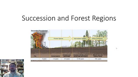 Image result for Secondary Succession Fire Example