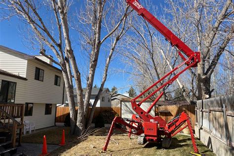 Tree Pruning Near Me 的图像结果