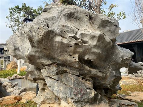 《黄山奇石》那些叫不出名字的奇形怪状的岩石，正等着你去给它们起名字呢！-小时候de记忆_-小时候de记忆_-哔哩哔哩视频