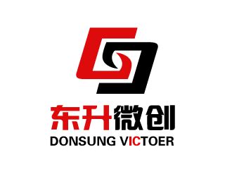 东升微创/DONSUNG VICTOER/东升公司logo - 123标志设计网™
