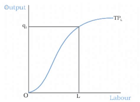 Concept of Supply (Producer Behaviour and Supply) Class 12 Economics