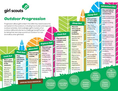 Girl Scout Levels Colors