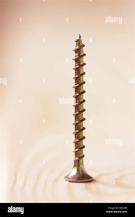 Image result for Screw-Thread