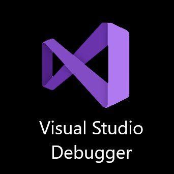 Visual Studio Debugger 的图像结果