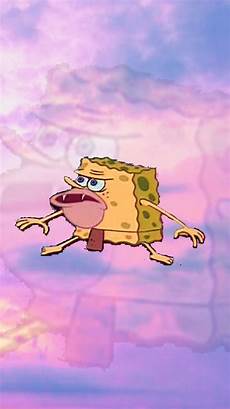 aesthetic meme wallpapers aesthetic spongebob wallpapers wallpaper cave aesthetic meme wallpapers aesthetic spongebob wallpapers wallpaper cave
