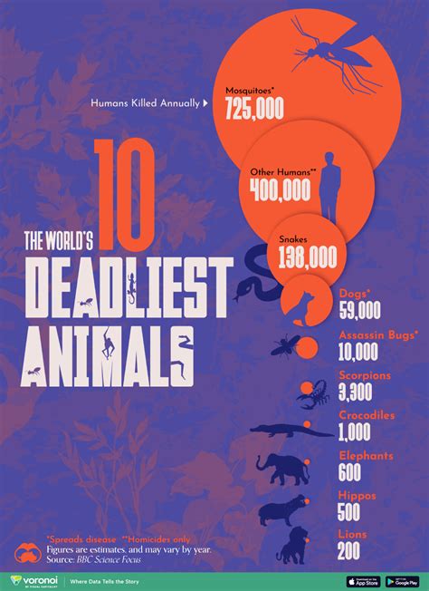 Deadliest Animal In The World 10 Deadliest Animals To Humans