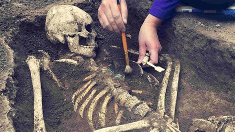 Ancient human fossils found in the 'Cradle of Humankind' are a million ...