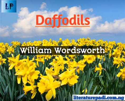 Daffodils Poem William Wordsworth Summary at Jonathan Landseer blog