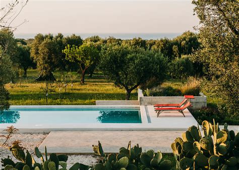 MASSERIA MOROSETA: DODIR HEDONIZMA I LUKSUZA MEĐU STOLETNIM MASLINAMA ...