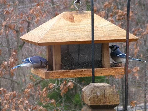 Large Wood Bird Feeder Design by Joe Rohan