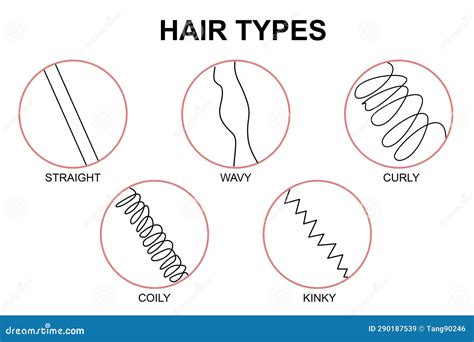 Classification Hair Types, Straight, Wavy, Curly, Coily, Kinky Royalty ...
