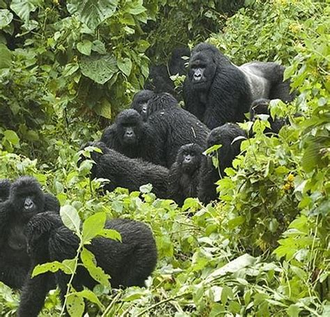 30 BEST Places to Visit in Kampala - UPDATED 2023 (with Photos ...