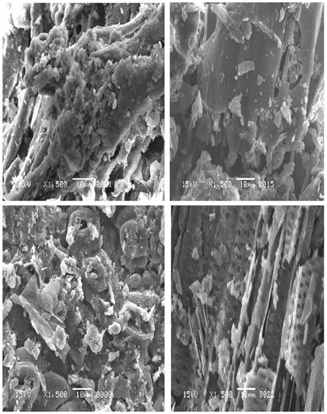 Physio-Chemical Characterization of Biochar, Compost and Co-Composted ...