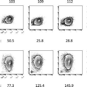 Image result for Barcoding Mass Cytometry