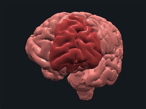 Image result for Brain Machine Learning Vector