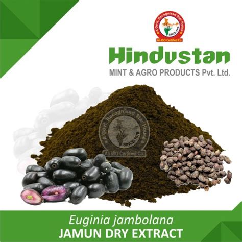 Jamun Dry Extract Manufacturer Exporter India USA