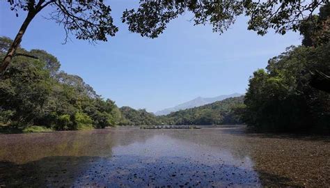 Lakkidi View Point In Kerala A Guide To Wayanad's Best View
