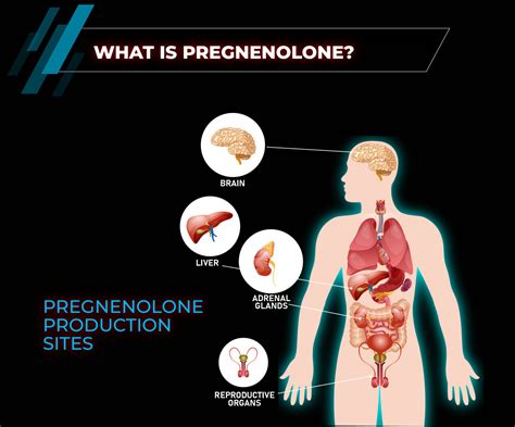 Pregnenolone Supplement: Benefits, Dosage & Side Effects