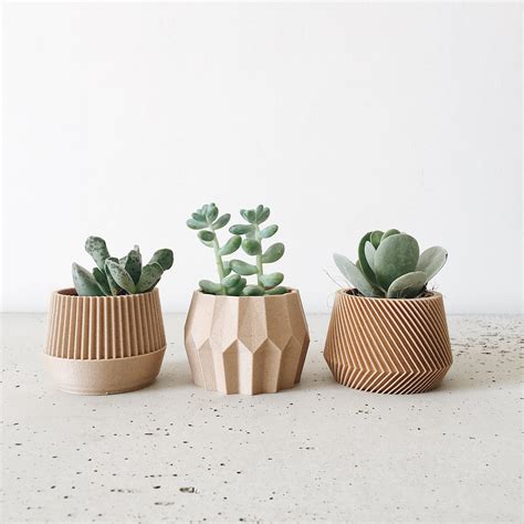What Can I Grow In Very Small Pots at Tyler Mckinley blog
