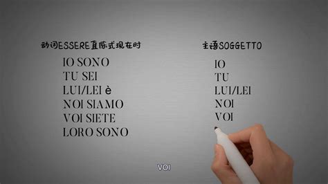 正版 新视线意大利语 初级1 学生用书+练习手册 第二版 A1-A2 速成意大利语自学入门教材 大学意大利语教程 速成意大利语教材书籍-卖贝商城