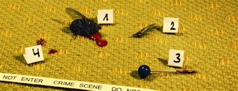 Discover forensic science insights here