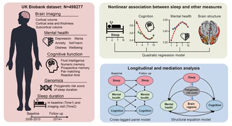 《Nature Aging》大数据样本首次揭示中老年最佳睡眠时长的遗传神经机制