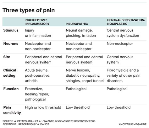 The Unexpected Diversity of Pain - Scientific American