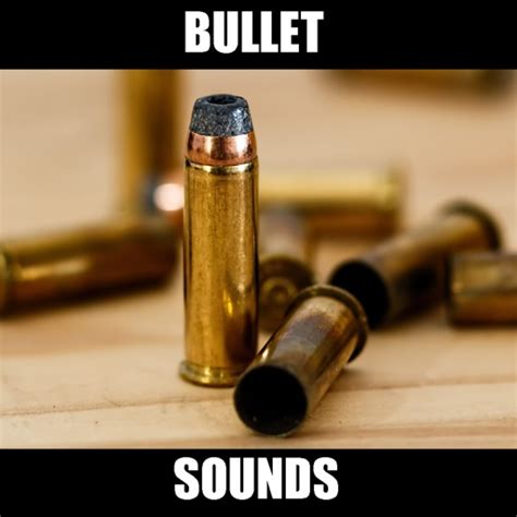 Bullet Sound Effect Meme 的图像结果