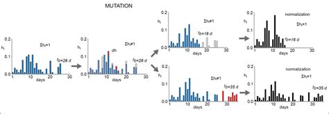Image result for Mutation Codes