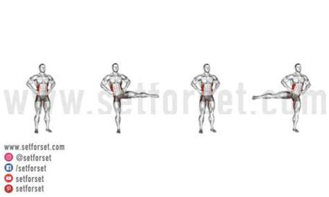 Image result for Fire Hydrant Exercise Proper Form