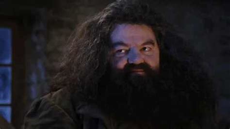 you're a wizard harry Blank Template - Imgflip