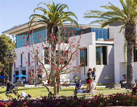 UCSB Connect Program | UCSB Professional and Continuing Education