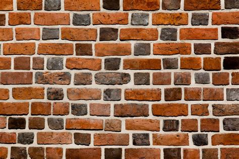Image result for Brick Color Randomizer Script
