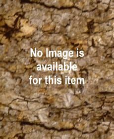 Java Temple Books 的图像结果