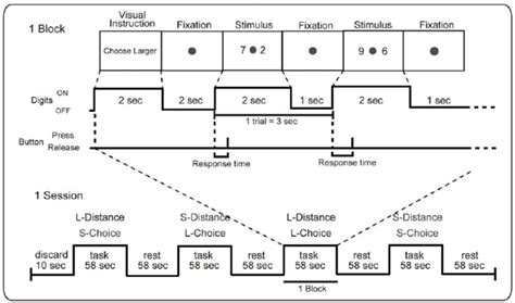 Multiple Object Tracking Task fMRI 的图像结果
