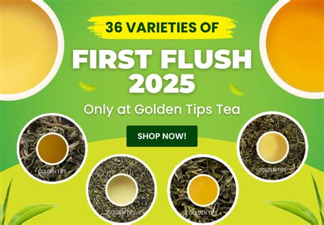 2025 First Flush Darjeeling Teas You Must Try – Golden Tips