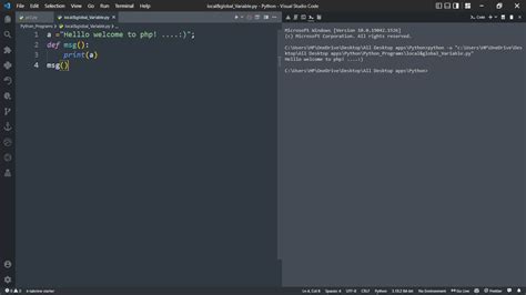 Image result for Global Scope Variable Python