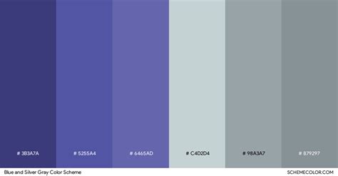 Elevating Spaces with Gray and Blue Color Schemes - Blog - SchemeColor.com