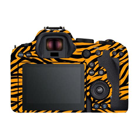 Zebra Gold Pattern Canon EOS R6 Mark II Camera Skins