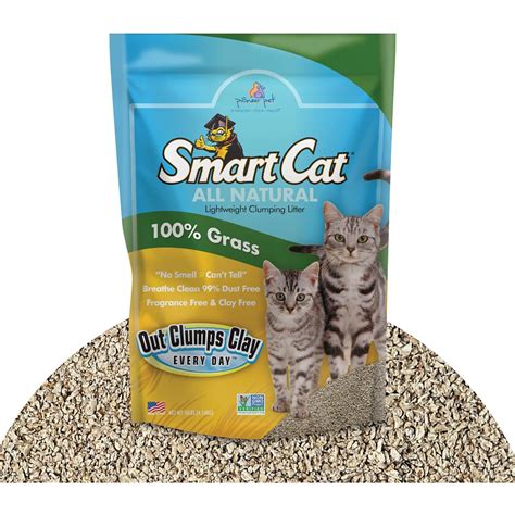 10 Best Unscented Cat Litters in 2025 - Reviews & Top Picks - Catster