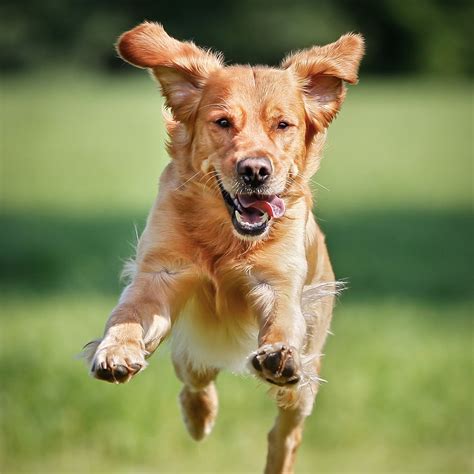 Take the #UnleashTheirSuper Challenge and Win Big!